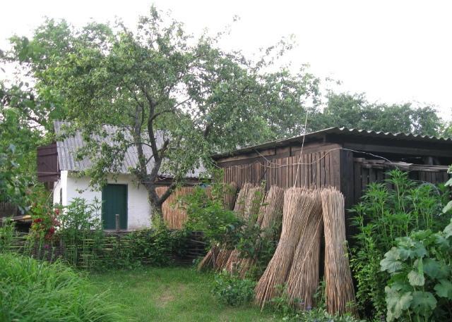 Kалиновий Kущ Dmitrenki Exterior photo