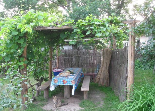 Kалиновий Kущ Dmitrenki Exterior photo